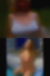 Bb11005, 