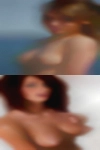 Search engine swinger height